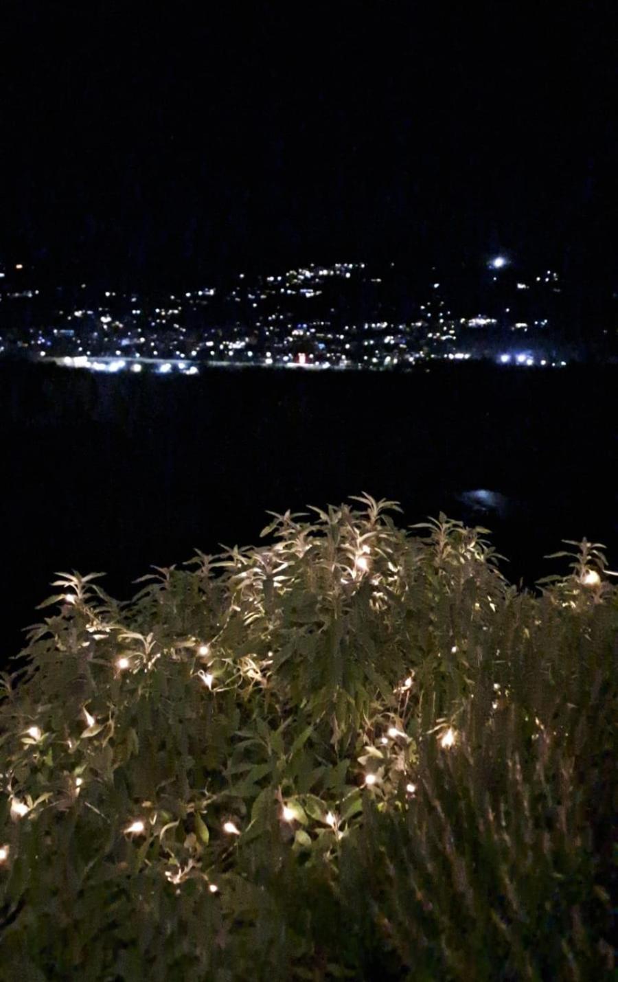 Il Paradiso All'Improvviso Vezzano Ligure Extérieur photo
